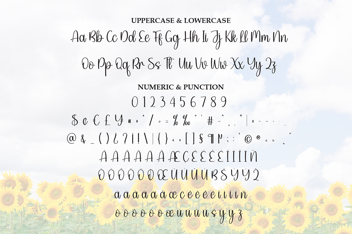 Sunflower | Script Font, a Handwritten Font by Scratchones (Photo 7 of 8)
