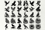 Crow SVG File. Raven Clipart PNG, an Animal Illustration by DENIDigitalArtSudio (Thumbnail 5 of 8)