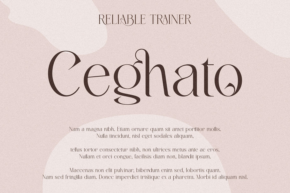 Belarost _ modern chic typeface, a Serif Font by Penatic Studio (Photo 4 of 10)
