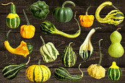 Pumpkins & Gourds - 33 Realistic, an Object Graphic by Turning Moss (Thumbnail 3 of 6)