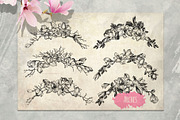 Magnolia flowers. Engraving style., a Decorative Illustration by Alena Kaz (Thumbnail 8 of 12)