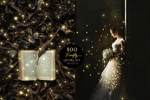 100 Fireflies Overlays