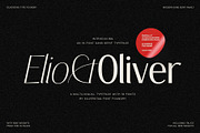 Elio & Oliver - An 18-Font Typeface, a Sans Serif Font by SilverStag Type Foundry (Thumbnail 1 of 20)