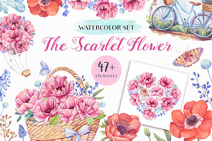 SALE! The Scarlet Flower