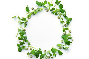 Pea microgreens circular frame with seeds on white, a Food & Drink Photo by Olena Rudo