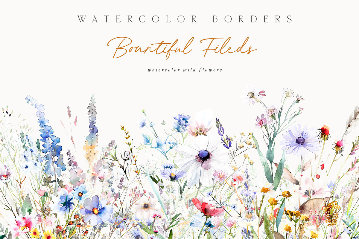New! Wild Flowers Edition, a Seasonal Illustration by Isabelle Salem (Photo 29 of 155)