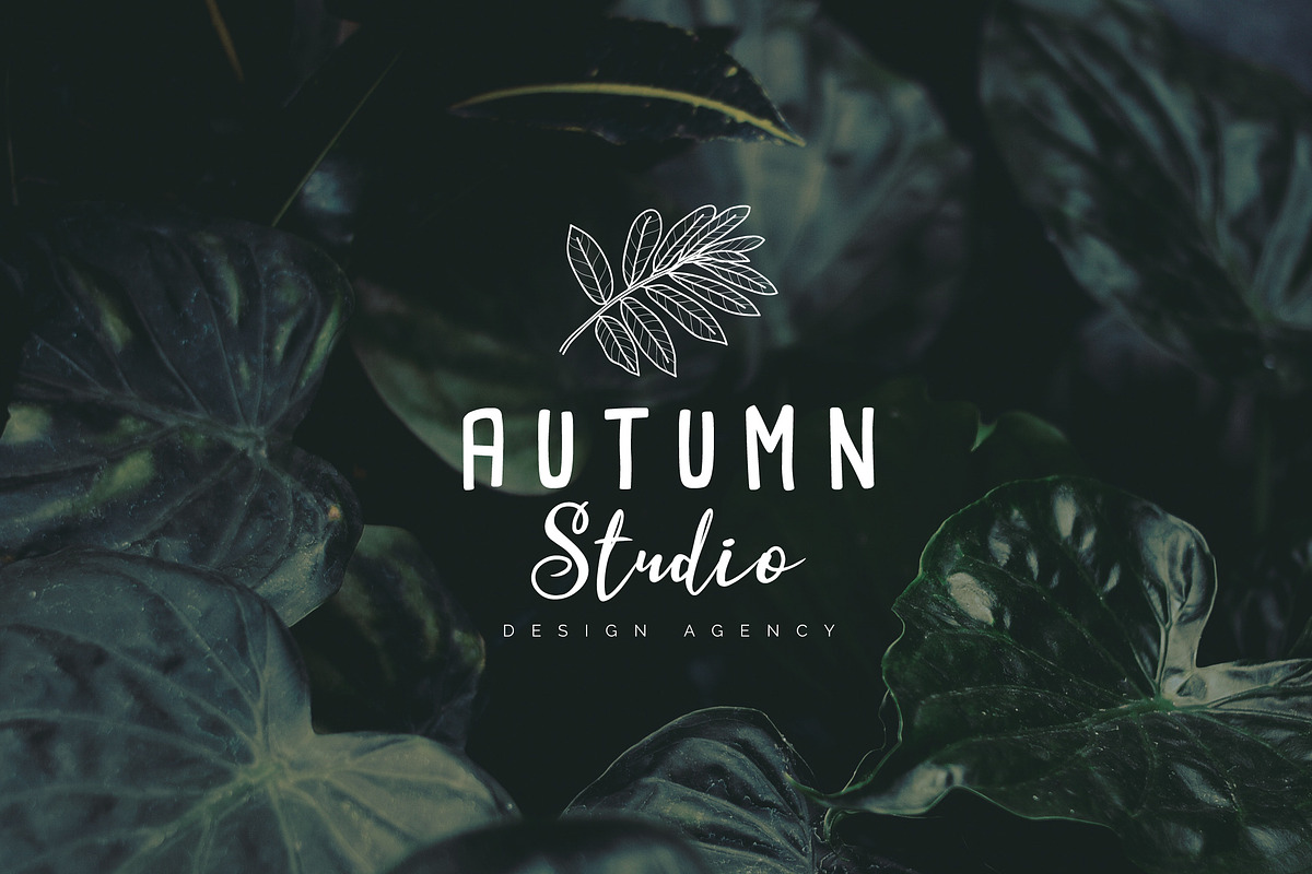 Feminine Branding Premade Logos V01, a Branding & Logo Template by XpertgraphicD (Photo 13 of 13)