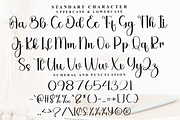 Bestiaries, a Handwritten Font by FreshTypeINK (Thumbnail 5 of 8)