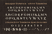 Balques Typeface, a Serif Font by Cruzine (Thumbnail 4 of 8)