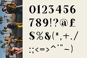 Hedosyan - Display Serif Font, a Serif Font by RockboyStd (Thumbnail 9 of 12)