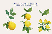 Azulejos Tile Collection, an Object Graphic by Paper Flowers Studio (Thumbnail 6 of 11)