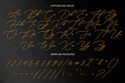 Olds Murray Signature Script Font, a Script Font by Maulana Creative (Thumbnail 10 of 10)