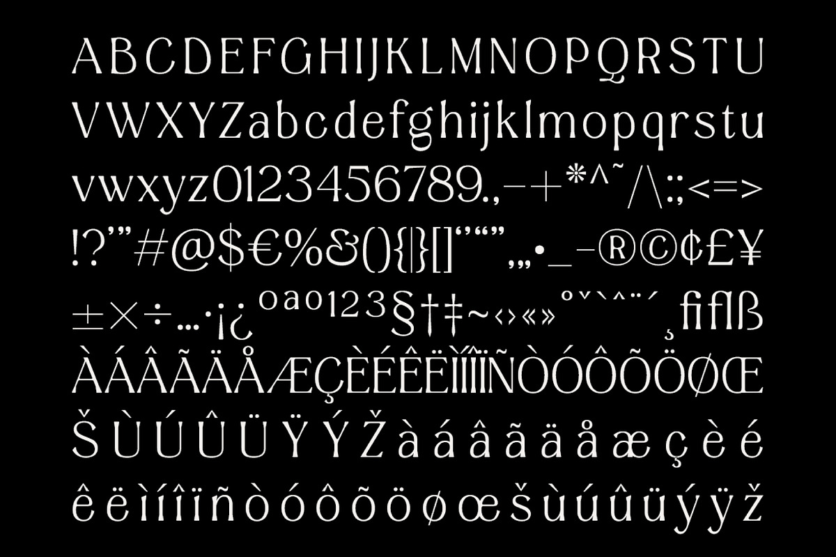 Aesthetic Wonder - Modern Aesthetic, a Serif Font by Prioritype Co (Photo 20 of 20)