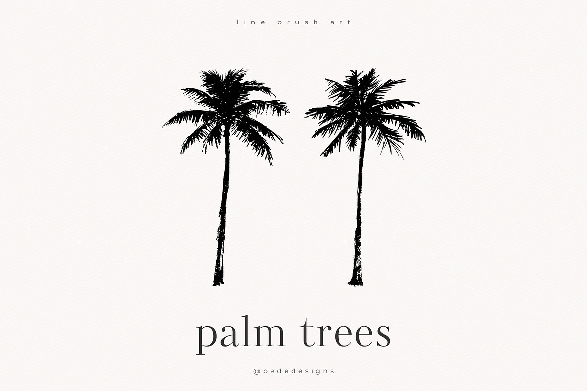 Palm Trees, an Object Illustration by PeDe Designs (Photo 6 of 9)