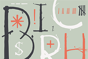 Birch Is Right Here - COMBO, a Script Font by Is Right Here (Thumbnail 3 of 8)