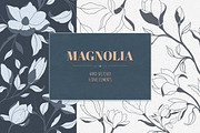 Hand Sketched Magnolia, a Decorative Illustration by Solana (Thumbnail 1 of 10)