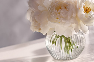 White peonies blooming in a ribbed glass vase on a sunlit table,, a Photo by Studio ANNA