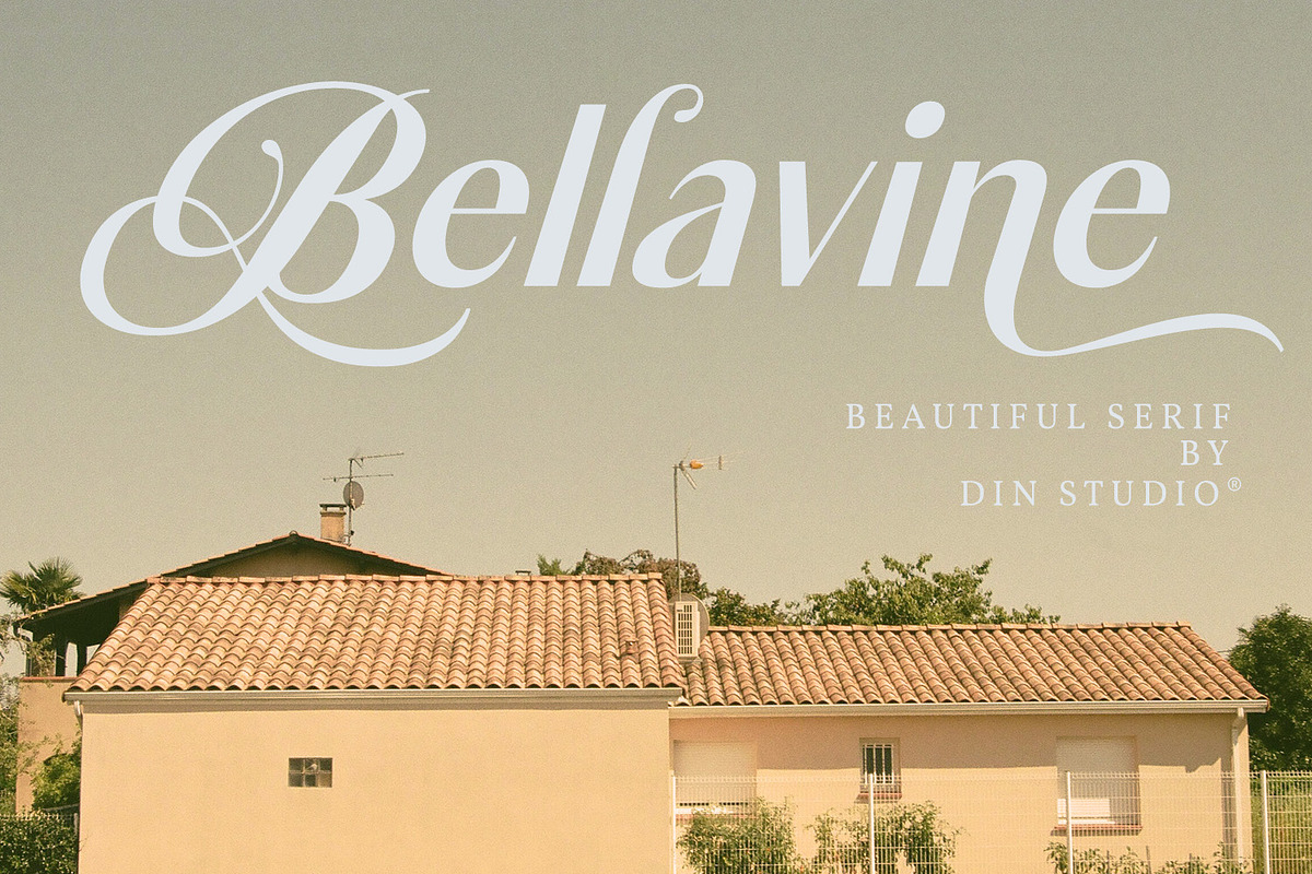 Bellavine, a Serif Font by din-studio.com (Photo 1 of 11)