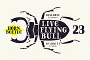 Baschone, a Serif Font by Drizy (Thumbnail 4 of 9)