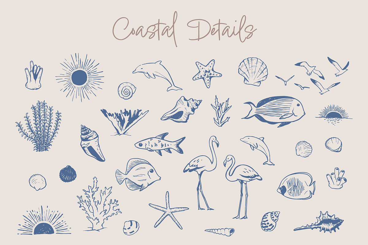 Hand Drawn Summer Illustration Set, an Object Graphic by Wild and Wonder by Ana (Photo 7 of 17)