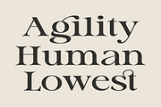 Gillian - A Modern Serif Font, a Serif Font by Marvadesign (Thumbnail 4 of 5)