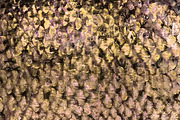 Silent Waters Rose Gold & Iridescent, a Pattern Graphic by Blixa 6 Studios (Thumbnail 2 of 5)