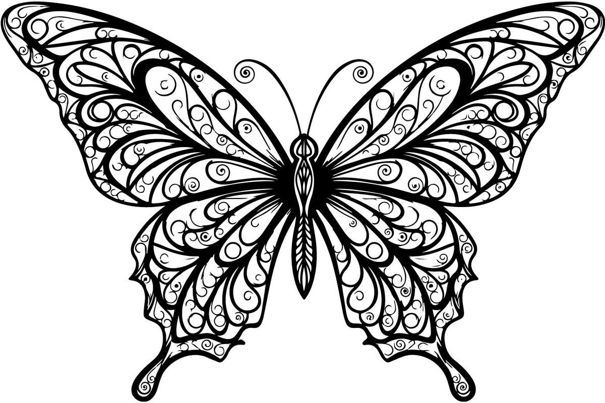 Butterfly Silhouette Bundle, a Decorative Illustration by Designer_Momina (Photo 14 of 20)