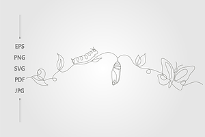 butterfly nature cycle