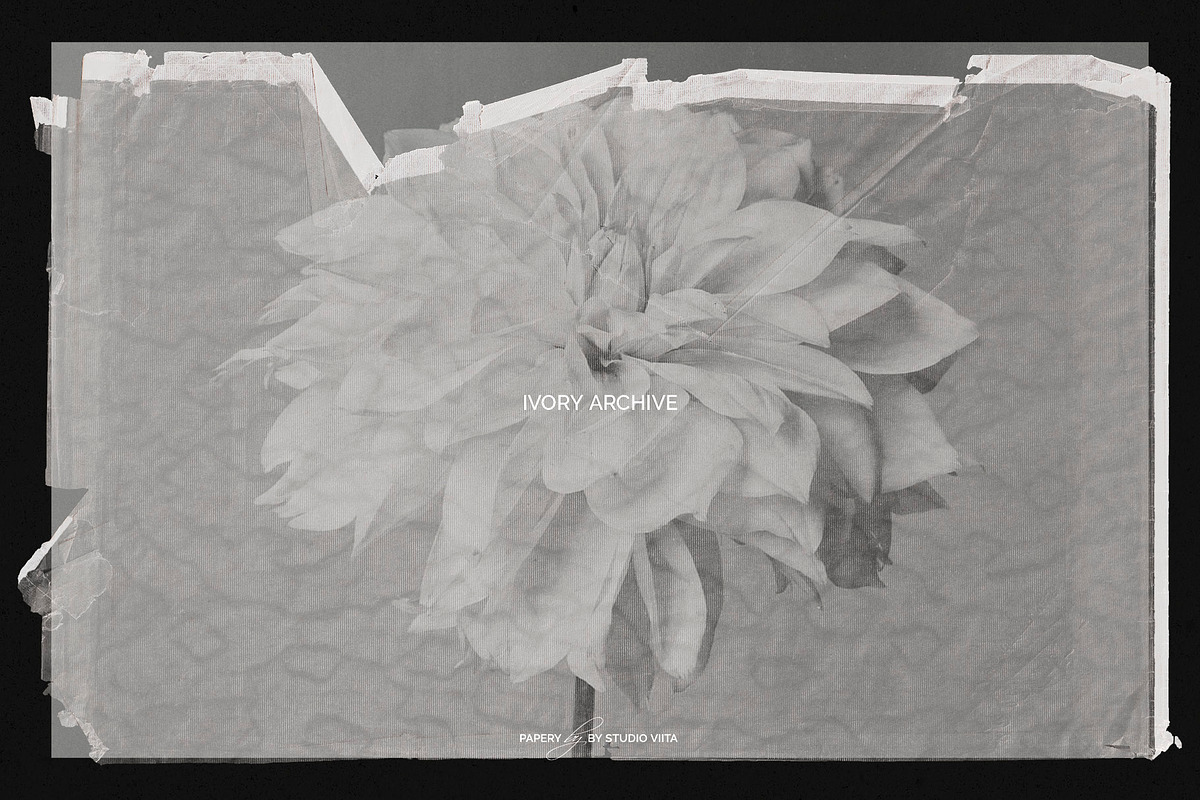 Vintage Scan Borders And Textures⸻3, a Texture Graphic by Studio Viita (Photo 9 of 11)