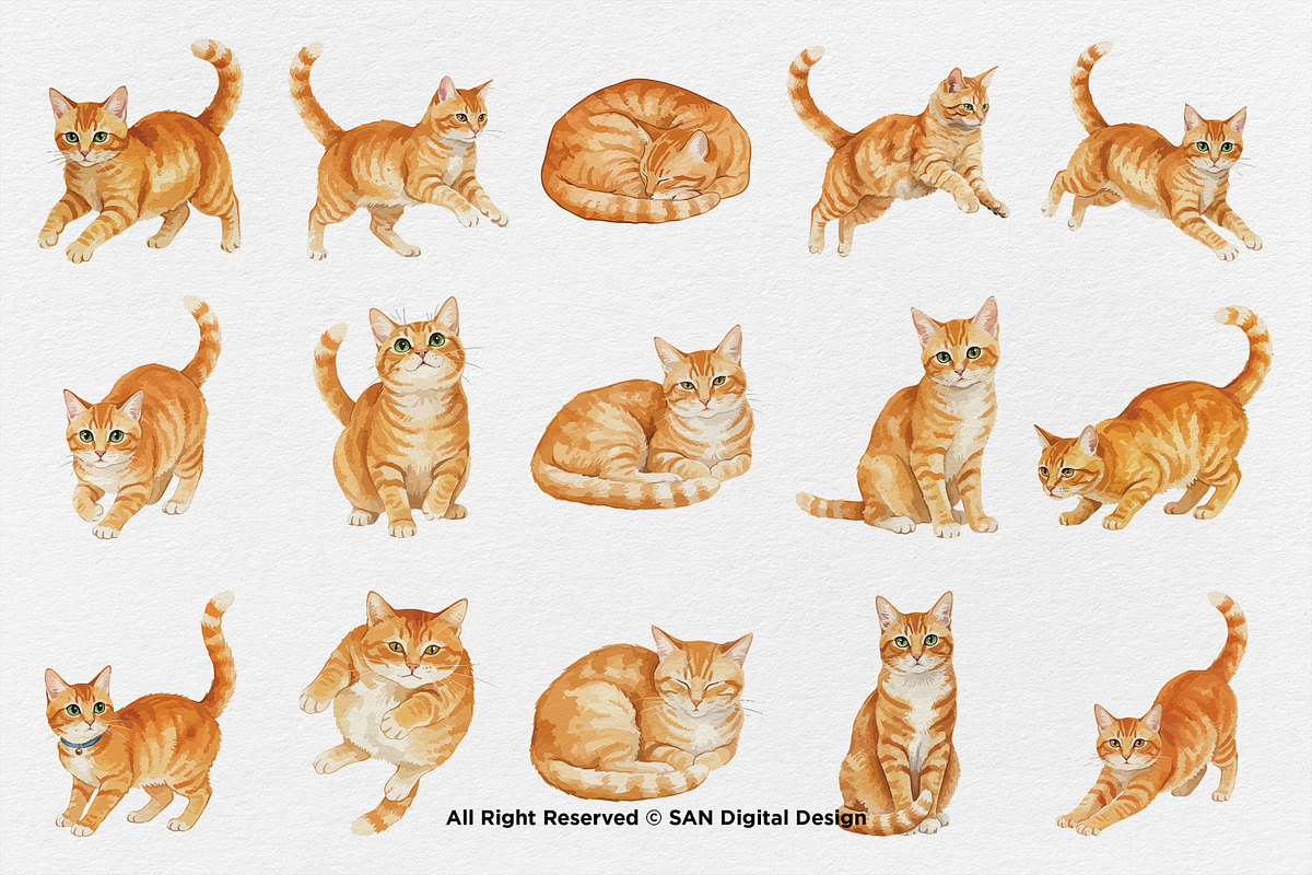 15 Bundle Watercolor Orange Cats Pet, an Animal Illustration by Morspective (Photo 8 of 8)