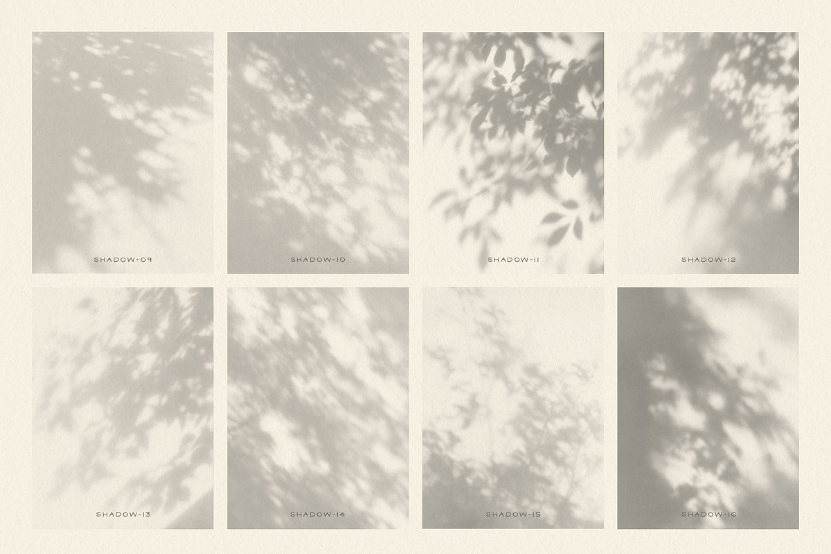 Dappled - Botanical Shadow Overlays, a Texture Graphic by alonahaidash (Photo 11 of 16)