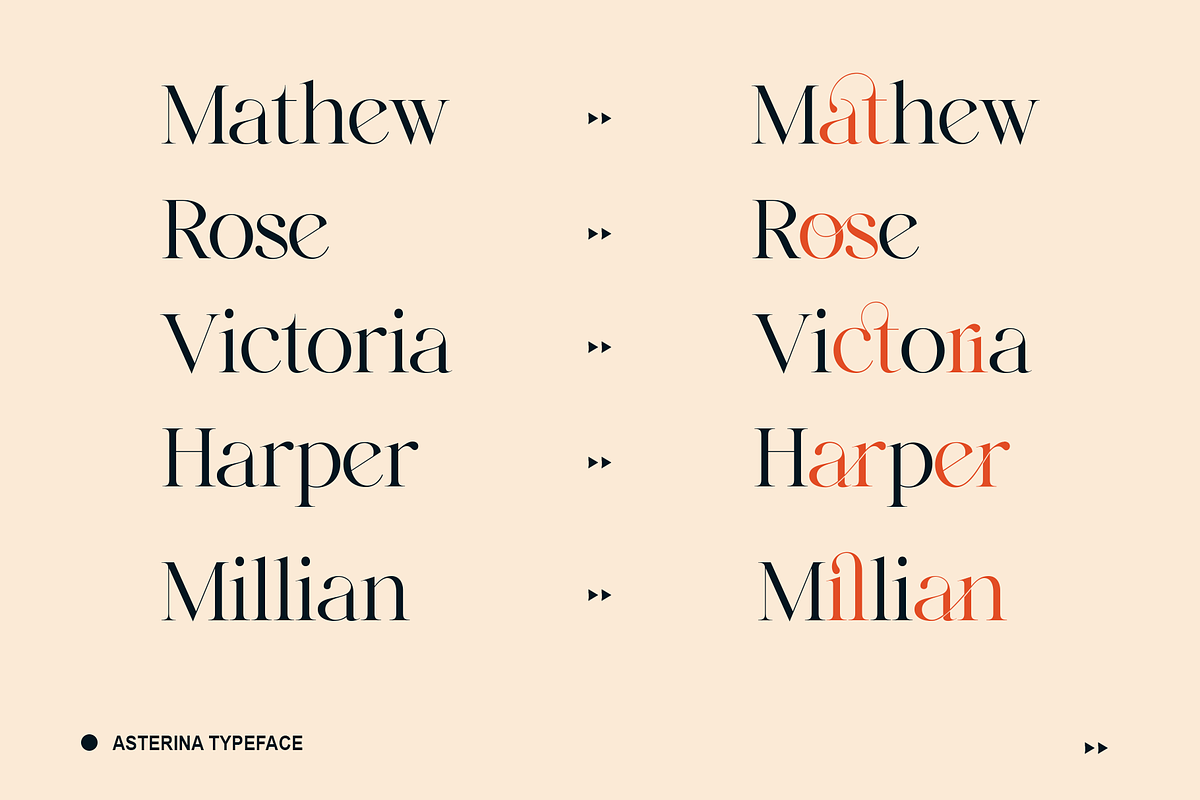 Elegant Ligature Serif Font, a Serif Font by Bekeen.co (Photo 8 of 10)