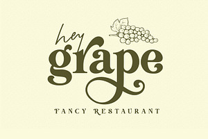 Delightful Napkin Modern Serif Font