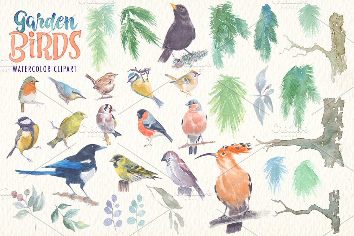 Garden birds watercolor clipart, an Animal Illustration by Art & Things (Photo 3 of 4)