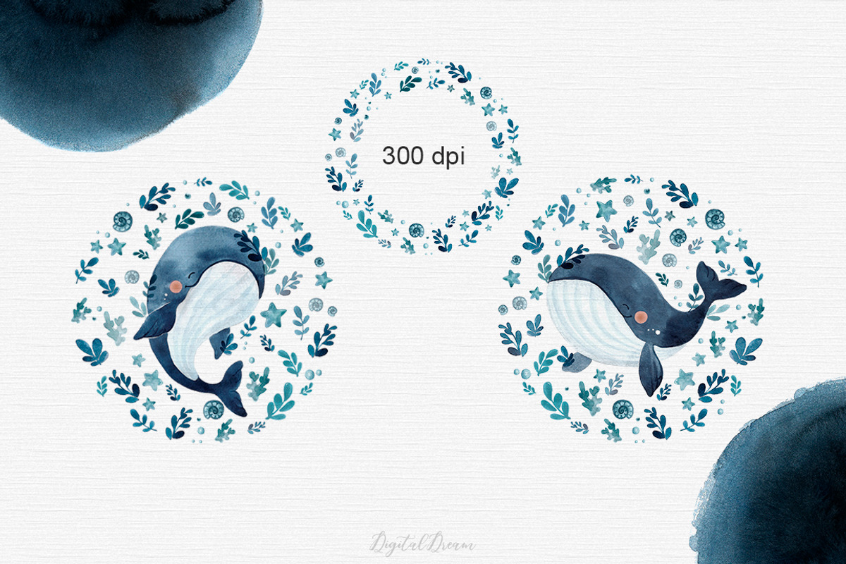 Whale watercolor clipart, an Illustration by DigitalDream (Photo 9 of 11)