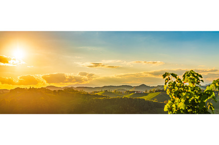 Vineyards panorama along Styrian, a Nature Photo by MadPhotos