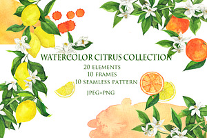 Watercolor citrus collection