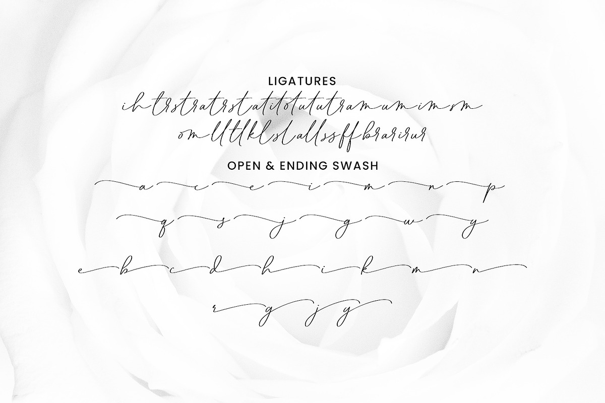 Pubrih Signature Font, a Script Font by Maulana Creative (Photo 9 of 10)