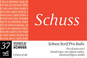 SchussSerifProIta No.37 (1 Font), a Serif Font by typic schuss (Thumbnail 1 of 7)