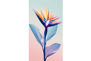 Vibrant Transparent Bird of Paradise, an Illustration by tilialucida