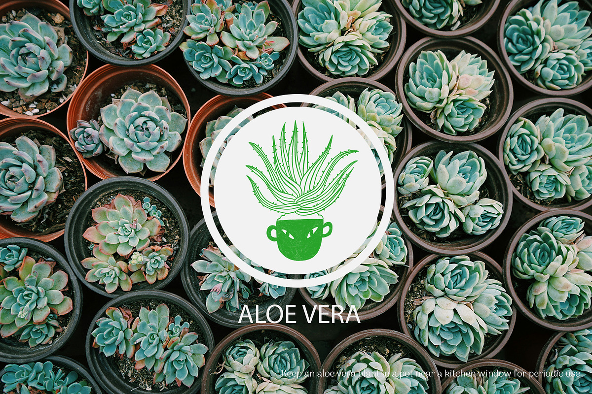 Plant Lady - aesthetic line art, a Person Illustration by Annakniaz (Photo 9 of 17)