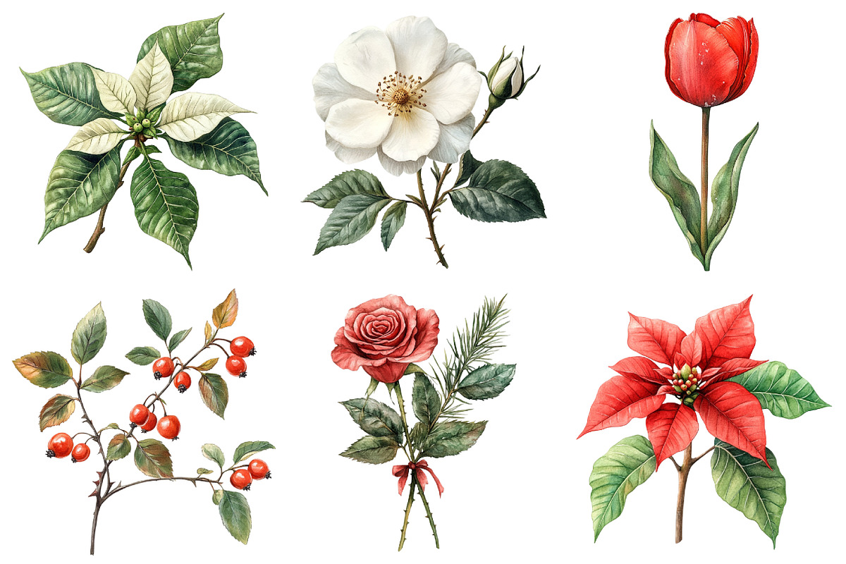 Vintage Floral Christmas Clipart Bun, an Illustration by Daily.Designs (Photo 5 of 5)