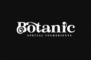 Bastine - Modern Classy Serif Font, a Serif Font by Afkari Studio (Thumbnail 7 of 16)