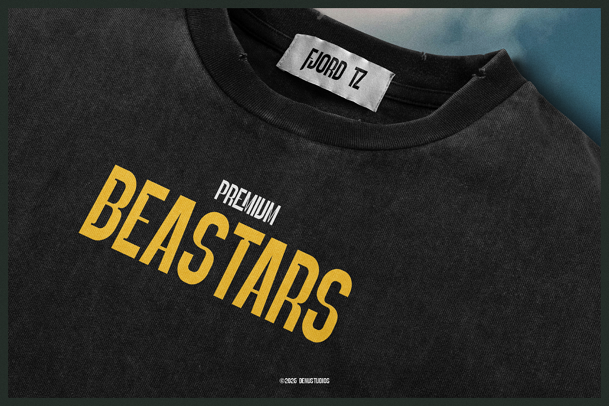 Rover Redo | Bold Display Sans, a Sans Serif Font by Denustudios (Photo 8 of 12)