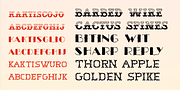 Kaktis, a Handwritten Font by Ingrimayne Type (Thumbnail 4 of 5)