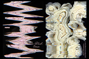 The Blush Error - Floral Backgrounds, a Wallpaper Graphic by Purple (Thumbnail 5 of 12)