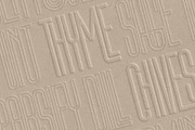 First Contact - 16 Fonts in One Pack, a Sans Serif Font by SilverStag Type Foundry (Thumbnail 26 of 30)