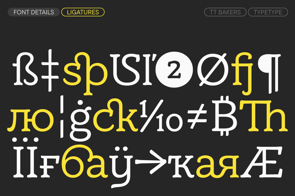 TT Bakers, a Serif Font by TypeType (Photo 15 of 15)