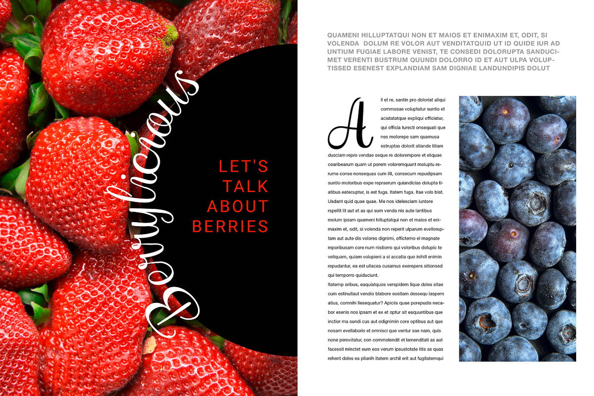 Hollandaise Script Font preview 5