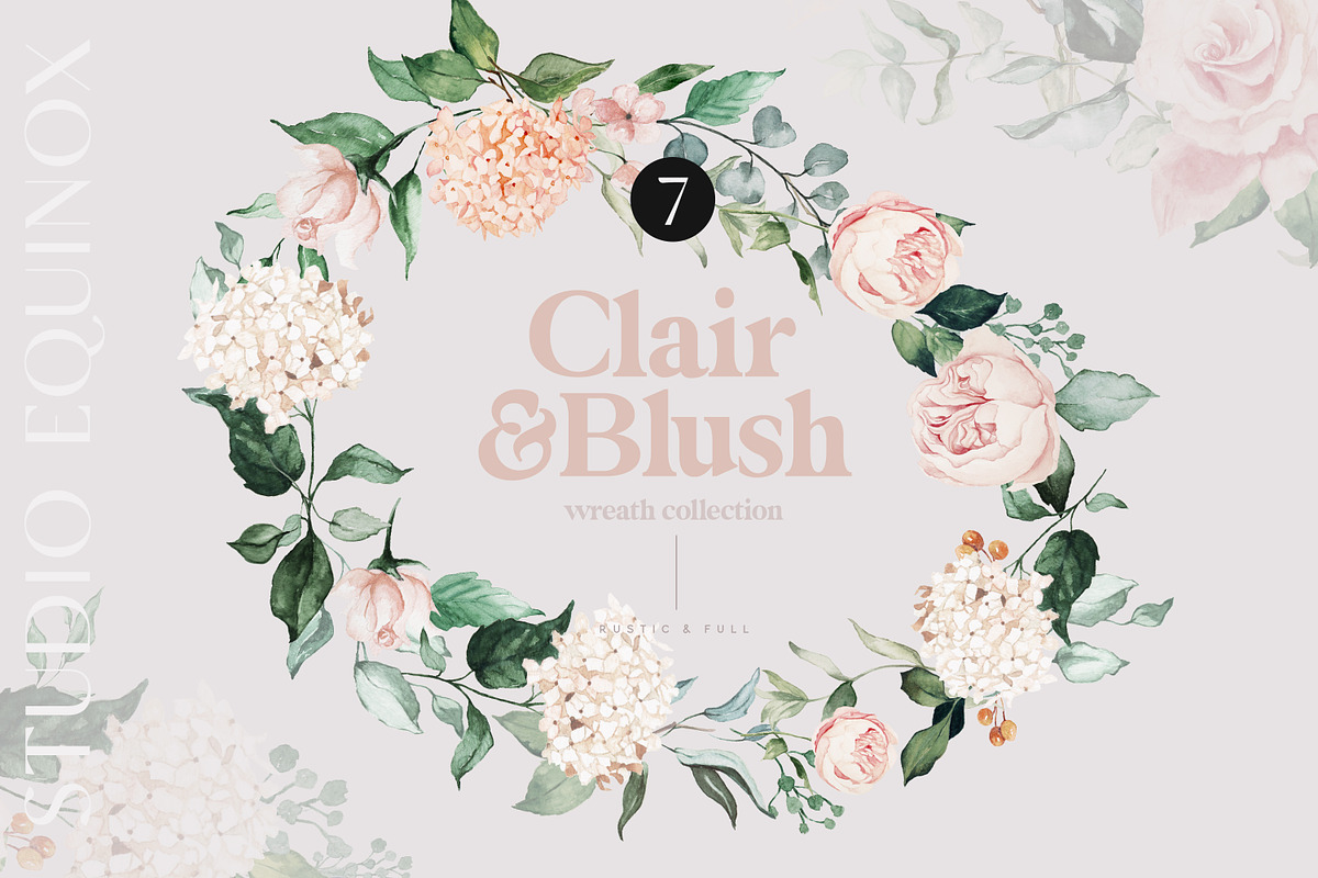 Clair & Blush - Summer Floral Set, an Illustration by studioequinox (Photo 12 of 14)
